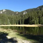 Lejlighed Darsi Pamporovo