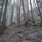 Lejlighed Darsi