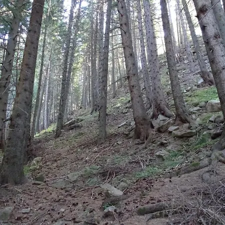 Апартамент Darsi