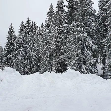 Darsi Апартамент