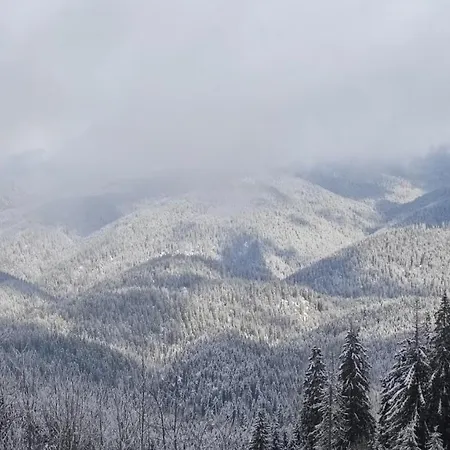 Darsi Апартамент