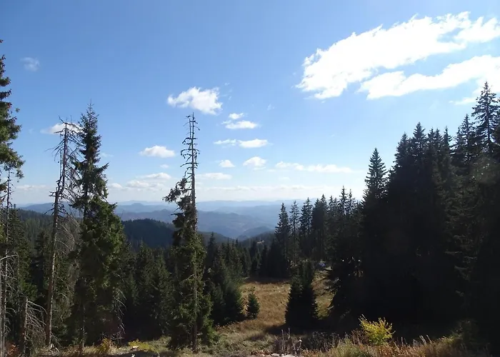 Darsi Lägenhet Pamporovo