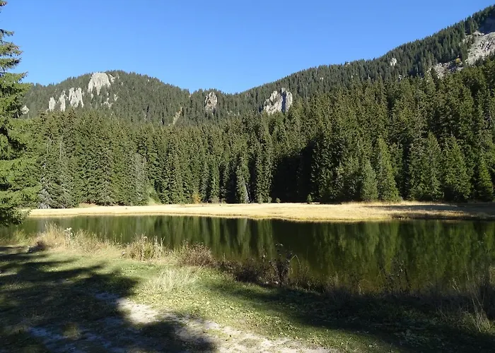 Lägenhet Darsi Pamporovo